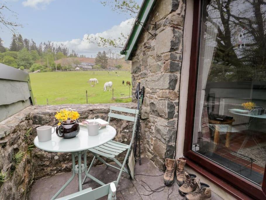 Y Gribyn - Modern Stone Cottage Within Snowdonia'S National Park Dolgellau Esterno foto