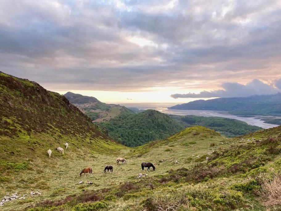 Y Gribyn - Modern Stone Cottage Within Snowdonia'S National Park Dolgellau Esterno foto