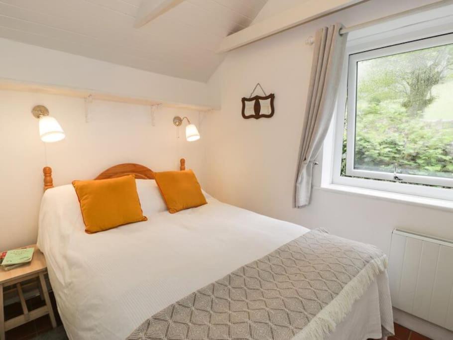 Y Gribyn - Modern Stone Cottage Within Snowdonia'S National Park Dolgellau Esterno foto